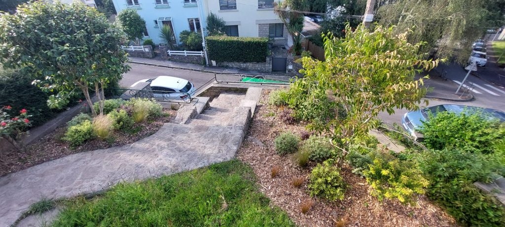 Vue de haut entrée de maison avec camelia et heptacodium dans un parterre de pittosporum